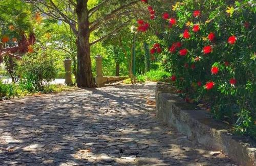 Baiao Cama Y Desayuno | Quinta da Ermida - Turismo de Habitacao