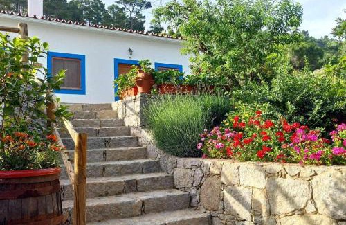Barracao Casa | Quinta da Idalina