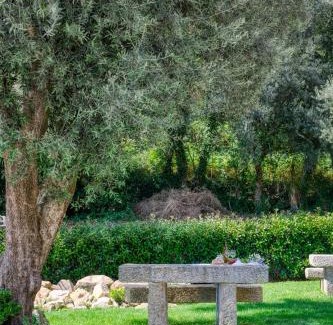Arcos de Valdevez Apartamento | Quinta da Mourinha
