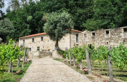 Arcos de Valdevez Apartamento | Quinta da Mourinha