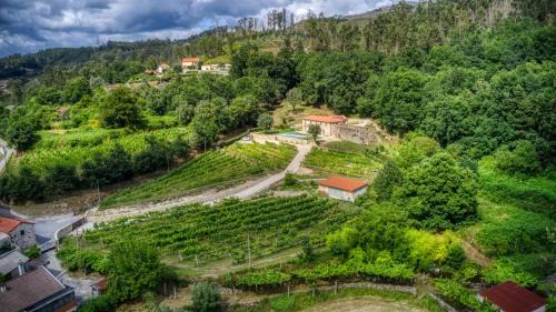 Arcos de Valdevez Apartamento | Quinta da Mourinha