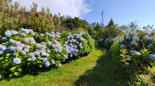 Rates Apartamento | Quinta da Regada