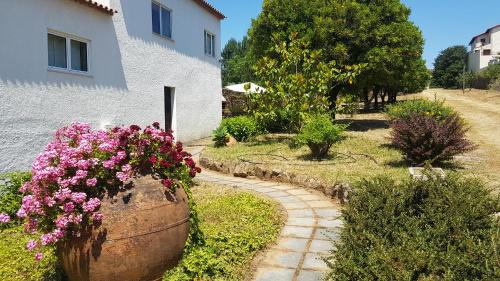 Figueiro dos Vinhos Casa | Quinta da Vergueira