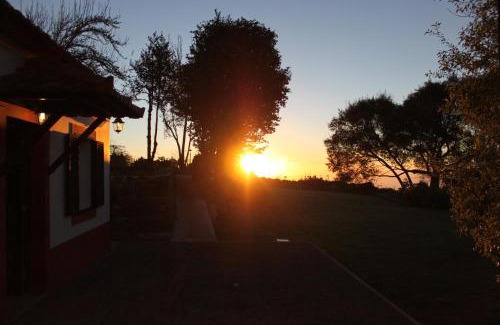 Camacha Casa | Quinta Das Faias