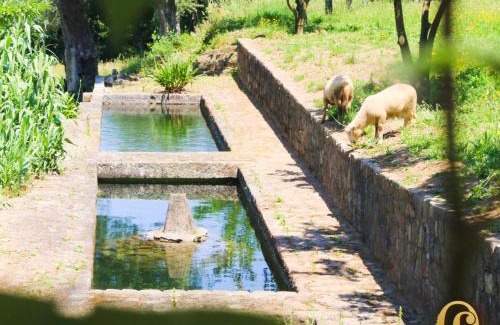 Ponte de Lima Casa | Quinta das Fontes