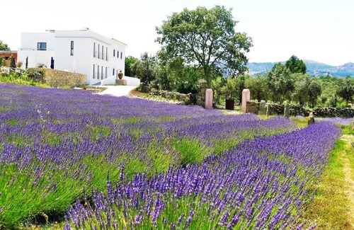 Santa Maria da Devesa Casa | Quinta das Lavandas