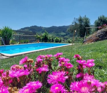 Petimao Casa | Quinta das Netas