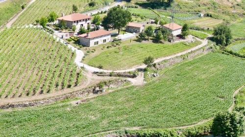 Pevidem Casa | Quinta de Carvalhal - Casa da Vinha