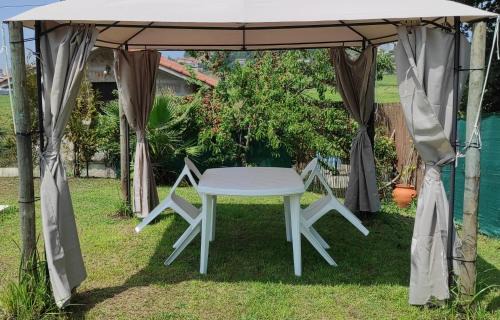 Pevidem Casa | Quinta de Carvalhal - Casa de Campo