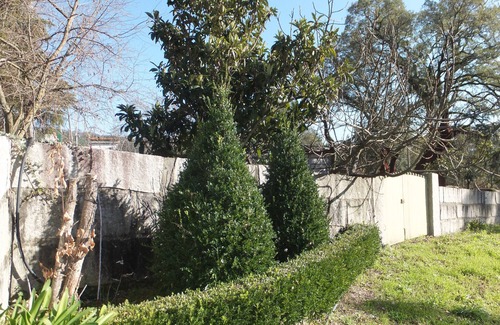 Agueda Villa | Quinta de Santa Maria - o ar saudável da Serra!