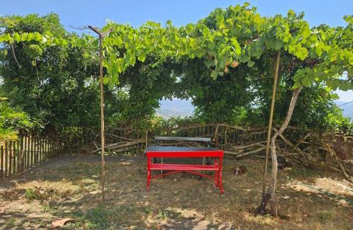 Peso da Regua Apartamento | Quinta de Sobre a Fonte Charming Apartments - traditional winery