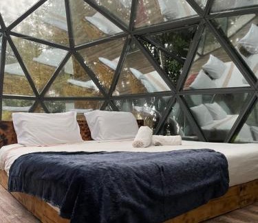 Angra do Heroismo Cabina | Quinta do Abacate - Glamping Park