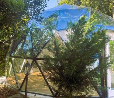 Angra do Heroismo Cabina | Quinta do Abacate - Glamping Park
