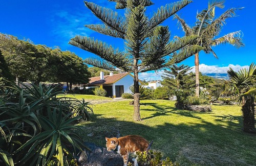 Livramento Villa | Quinta do Ananás Granja de piñas