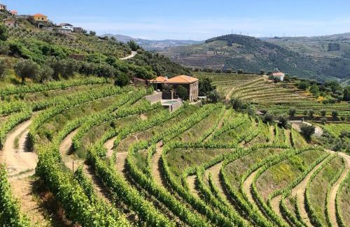 Peso da Regua Casa | Quinta do Barrocal - Casa de Campo