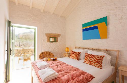 Armamar Casa | Quinta do Cedro Verde