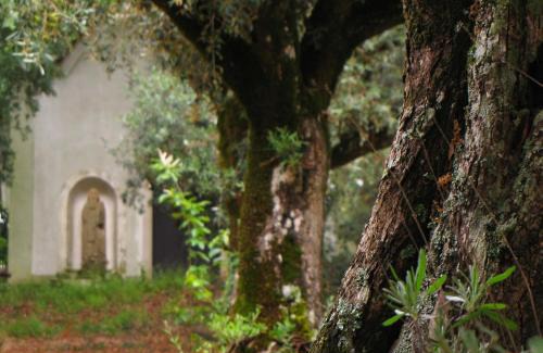Nossa Senhora do Pranto Casa | Quinta do Cerquito
