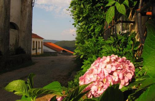 Nossa Senhora do Pranto Casa | Quinta do Cerquito