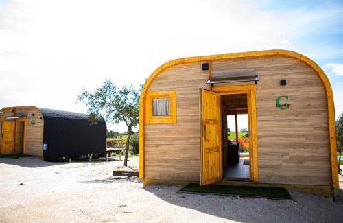Vilar Formoso Casa | Quinta do Prado Verde