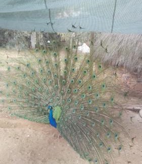 Sao Salvador da Aramenha Casa | Quinta Do Vaqueirinho - Agro-Turismo