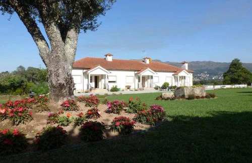 Cossourado Apartamento | Quinta dos Brazilaves - Ponte de Lima