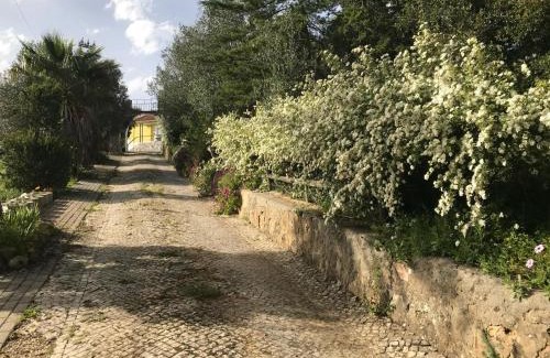 Aldeia de Irmaos Casa | Quinta dos Canais
