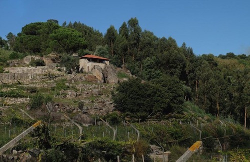 Ribadouro Villa | Quinta Vale de Moinhos - River View