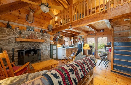 Weaverville Cabina | Quintaesencia Log Cabin privada: Con vistas French Broad River