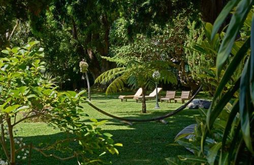 Sao Pedro Hotel | Quintinha Sao Joao Hotel & Spa