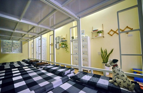 Quy Nhon Hotel | Quy Nhon Homestay BnB