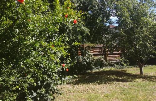 Alsorakos Casa | Rákos-patak Family House Garden & Free Parking