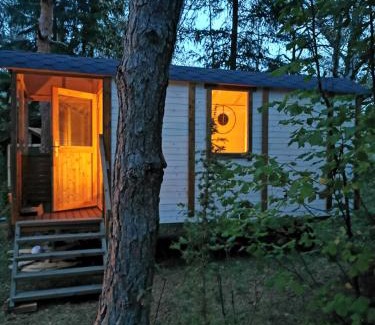 Saaremaa Otro | Ränduri Pesa Paiveli koplis