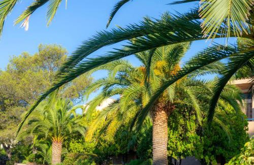 Boulouris-sur-Mer Apartamento | Résidence Goélia Les Jardins d'Azur