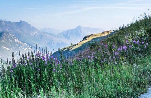 Le Bettaix Chalet De Esquí | Résidence Le Bettex - Chalet YDILIA MAE-9694