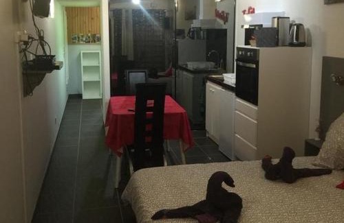 La Roche-sur-Yon Apartamento | Résidence Les Alizés 'JACCUZI SAUNA PISCINE en plein centre ville"