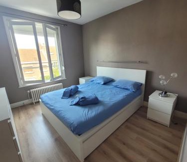 Malo-les-Bains Apartamento | Résidence Malouine "les roses de Malo les bains" Appartement avec balcon