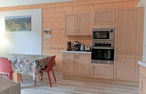 Laveissiere Apartamento | Résidence récente au Lioran à proximité des remontées mécaniques
