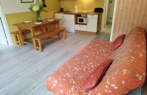 Orcieres-Merlette Apartamento | Résidence Rond-point-pistes I - Deux pièces cabine 8 pers le ROND POINT DES PISTES 1 - n° 113 A MAE-7234