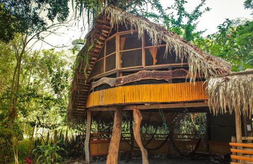 Canoa Cabina | Río Muchacho Organic Farm