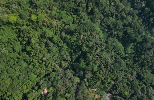 Quebrada La Gamba Cabina | Río Verde Ecolodge