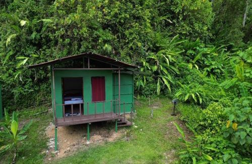 Quebrada La Gamba Cabina | Río Verde Ecolodge