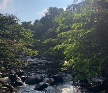 San Carlos Cama Y Desayuno | RíoBosque Cabañas de lujo frente al rio desayuno incluido san carlos antioquia