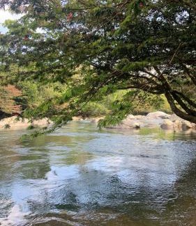 San Carlos Cama Y Desayuno | RíoBosque Cabañas de lujo frente al rio desayuno incluido san carlos antioquia