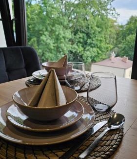 Naleczow Apartamento | Różana 4 studio