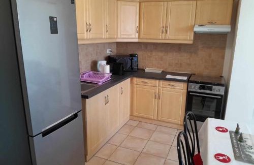 Bekescsaba Apartamento | Rózsa Apartman