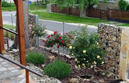 Zirc Apartamento | Rózsavendégház a Bakony -szívében!