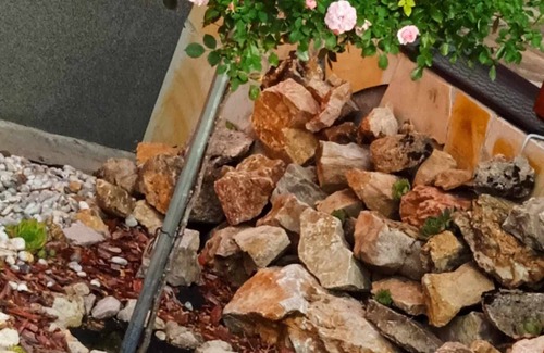 Zirc Apartamento | Rózsavendégház a Bakony -szívében!