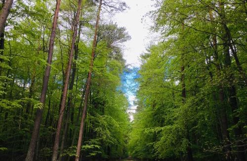 Oberhavel Apartamento | Röblinseeterrassen