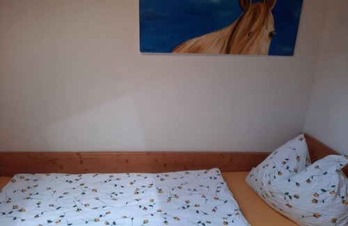 Werfenweng Otro | Rösslwohnung - Biobauernhof Vorderfromm