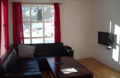 Roldal Apartamento | Røldal Overnatting